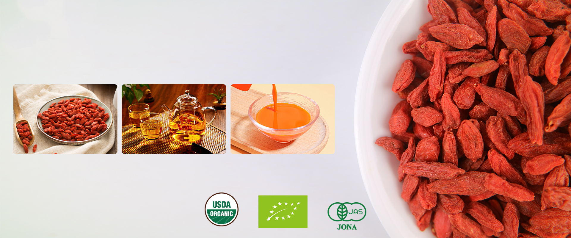 d2a08ce4-57ea-4b6e-9ed4-0165ac362582_副本